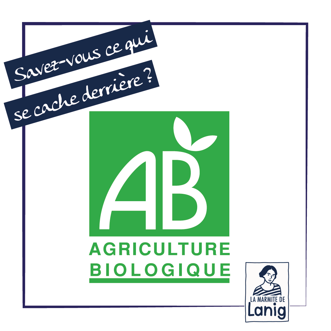 You are currently viewing L’Agriculture Biologique : Préservation de la Nature et Qualité Alimentaire